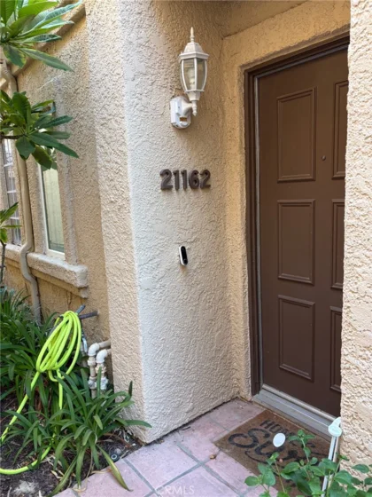 21162 Gladiolos photo 1