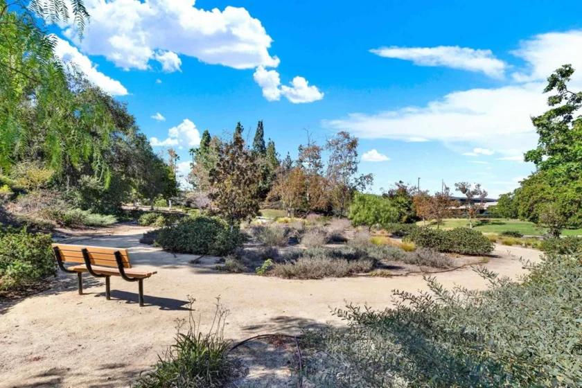 10864 Sabre Hill Drive #257 photo 40