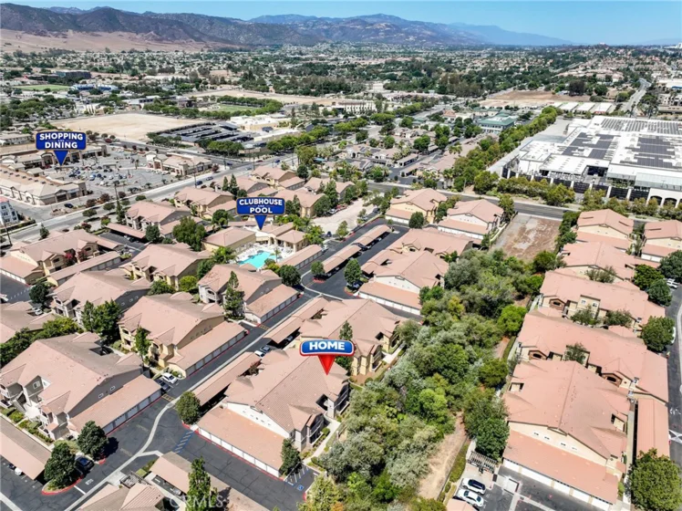 41410 Juniper photo 46
