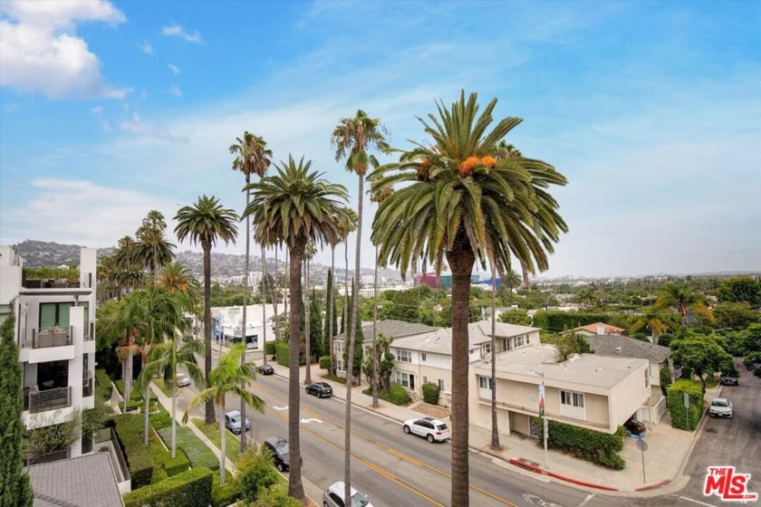 439 N Doheny Drive #204 photo 31