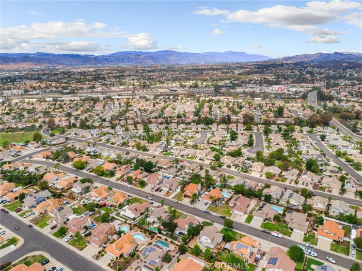 25401 Lacebark photo 52