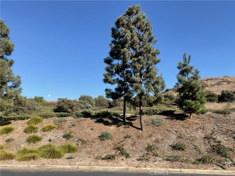 27585 Paseo Segovia photo 44