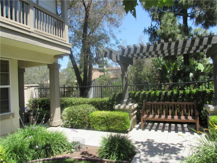 65 Figtree photo 5