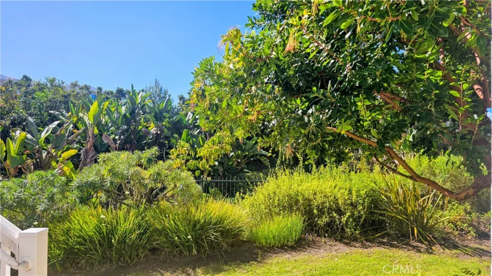 34146 Selva Road #198 photo 1