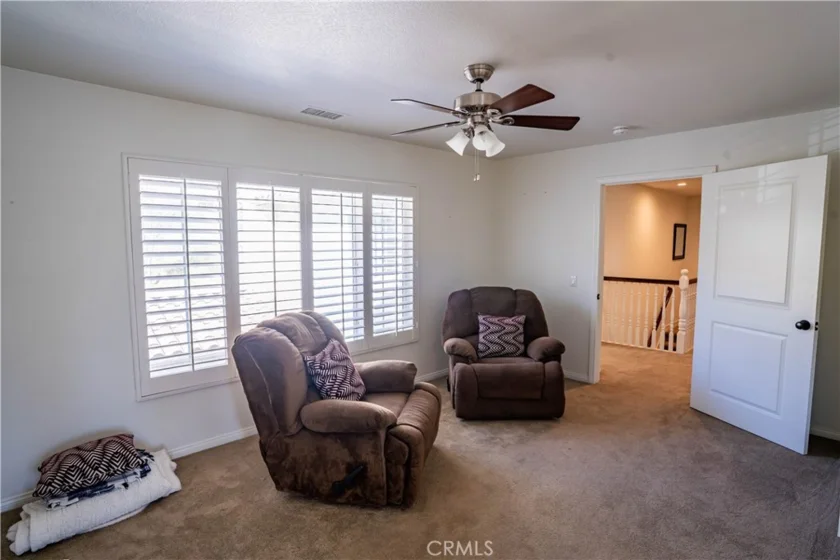 26775 Chamomile photo 44
