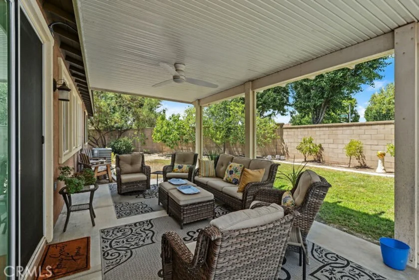 35597 Hawkeye photo 31