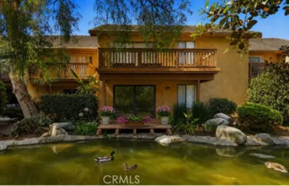 44 Tangelo #298 Photo