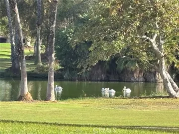 12 Lago Norte Photo