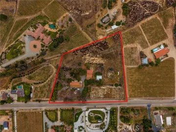 33545 Madera De Playa Photo