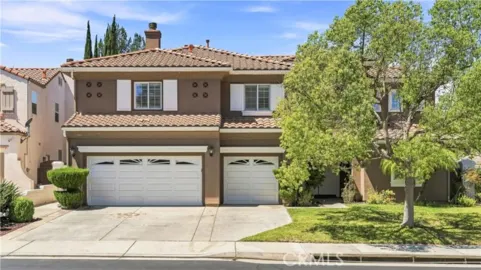 45059 Tiburcio Photo