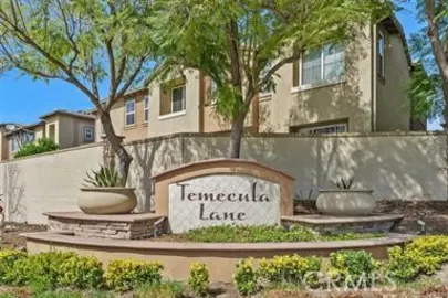 44942 Bellflower Photo
