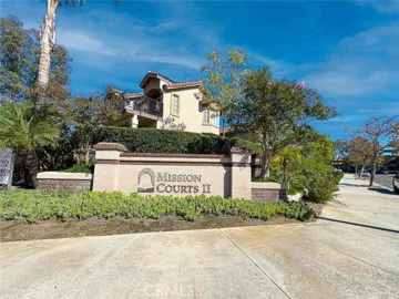 28 Blue Oak #96 Photo