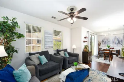 44942 Bellflower Photo