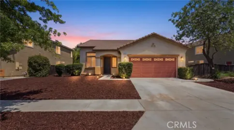 33675 Carnation Photo
