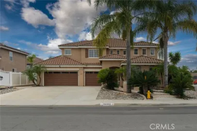 26103 Palmetto Photo