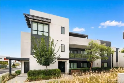 65 Ballast Point Photo