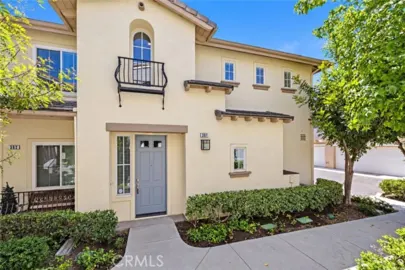 361 Summer Photo