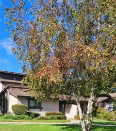 7552 Corbin Avenue #4 Photo