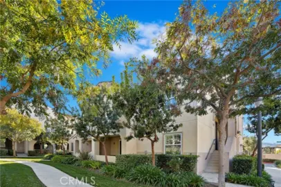 31205 Strawberry Tree Photo
