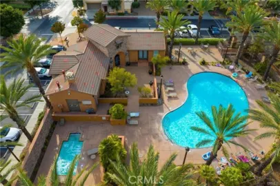 44942 Bellflower Photo