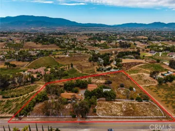 33545 Madera De Playa Photo