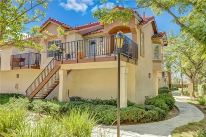 28 Blue Oak #96 Photo