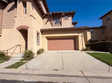 41534 King Palm Photo