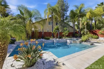36849 Wax Myrtle Photo