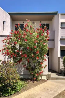 3254 Ashford Street #H listing photo