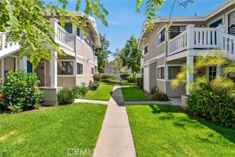 39 Tarocco listing photo
