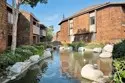 33852 Del Obispo Street #9 thumbnail 37