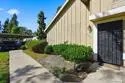7061 Appian Drive #B thumbnail 25
