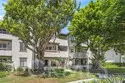 21372 Brookhurst #234 thumbnail 2