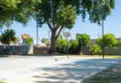 20224 Cohasset Street #9 thumbnail 32