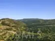 12 Baneberry thumbnail 25