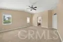 31538 Whitefield Court thumbnail 20