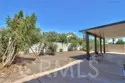 45743 Magnolia thumbnail 44