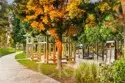 177 Lockford thumbnail 59