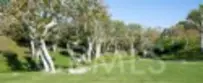 36 Vienna thumbnail 42