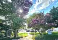 7552 Corbin Avenue #4 thumbnail 5