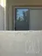 21245 Camelia #27 thumbnail 31