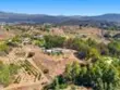 43821 Shady Creek thumbnail 59