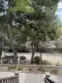 10284 Wateridge Circle #243 thumbnail 6