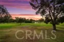 30 Arboles #34 thumbnail 14