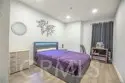 838 Pine thumbnail 9
