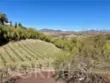 39526 Calle Cabernet thumbnail 49