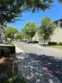 33730 Willow Haven #103 thumbnail 3
