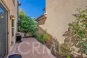 46 Cactus Bloom thumbnail 32
