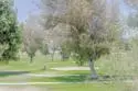 7835 Cowles Mountain Court #B6 thumbnail 24
