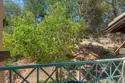 12636 Springbrook #E thumbnail 28